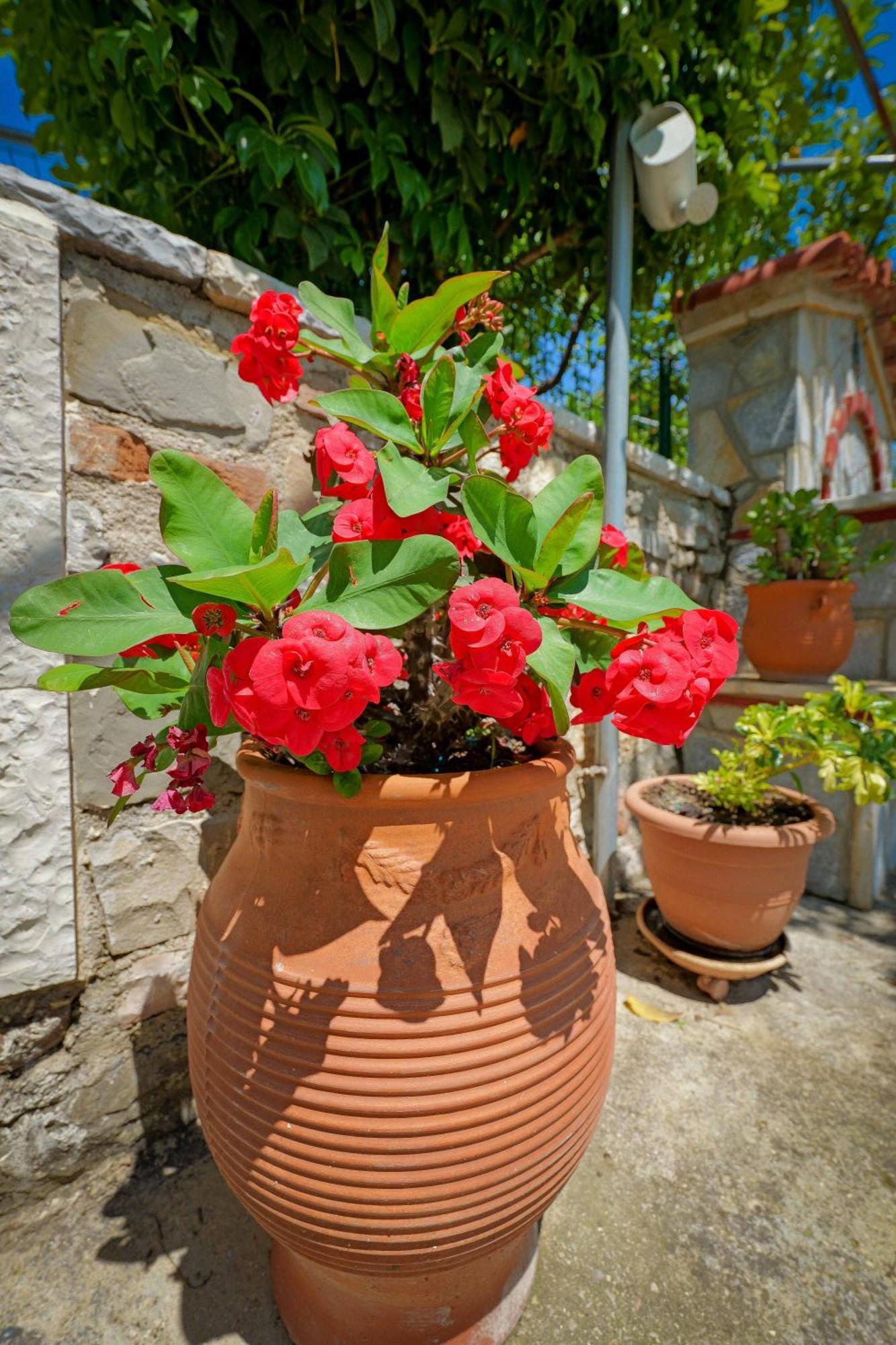 Hotel Shena The Farm Boutique Mesopotam Esterno foto